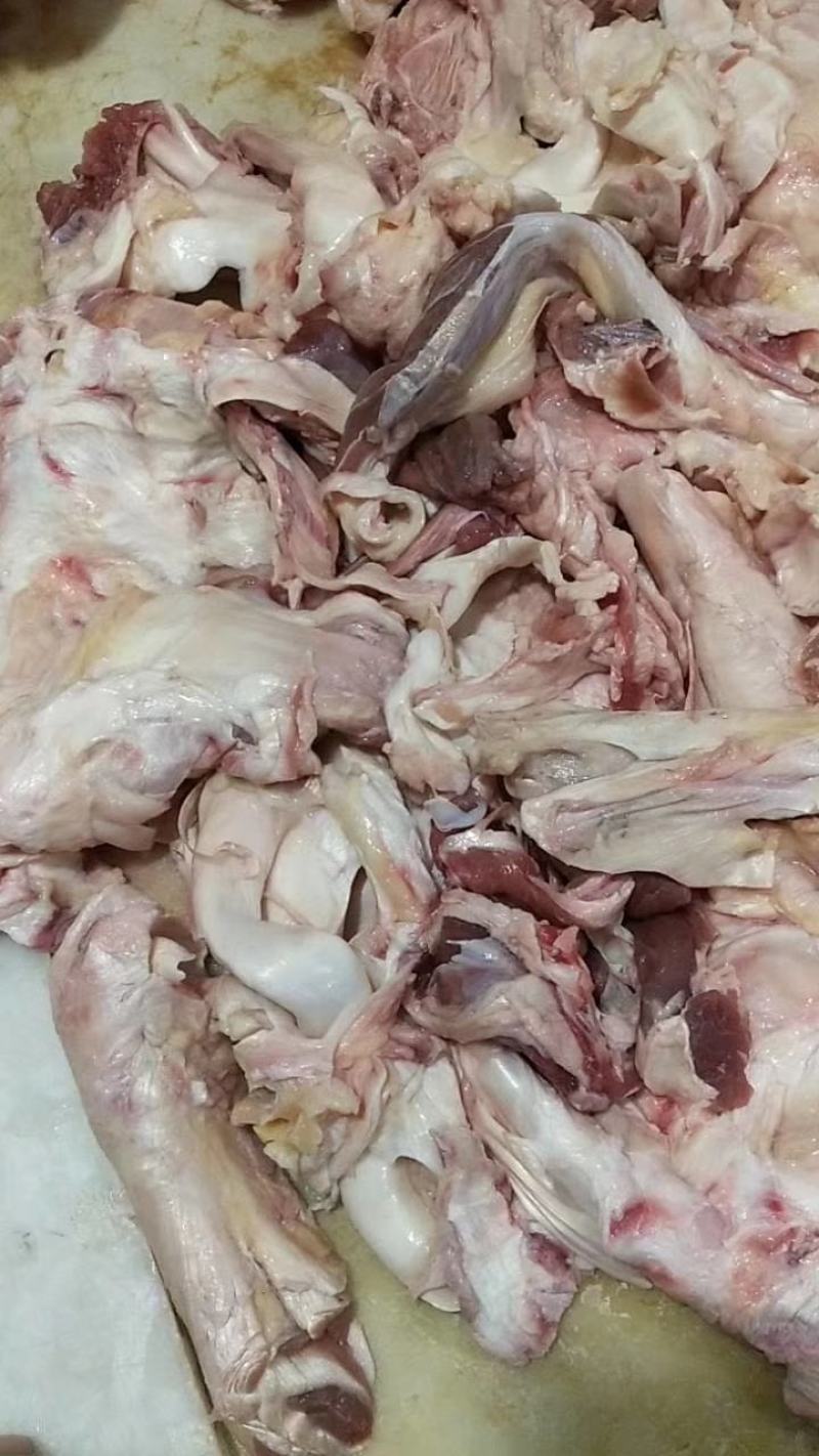 纯干鲜牛棒骨筋筋头巴脑专用一手货源。支持样品