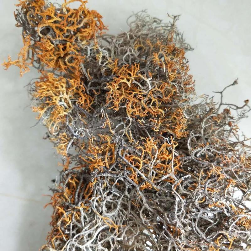 西藏野生红雪茶金丝茶鹿心红雪茶正品250g无硫新货