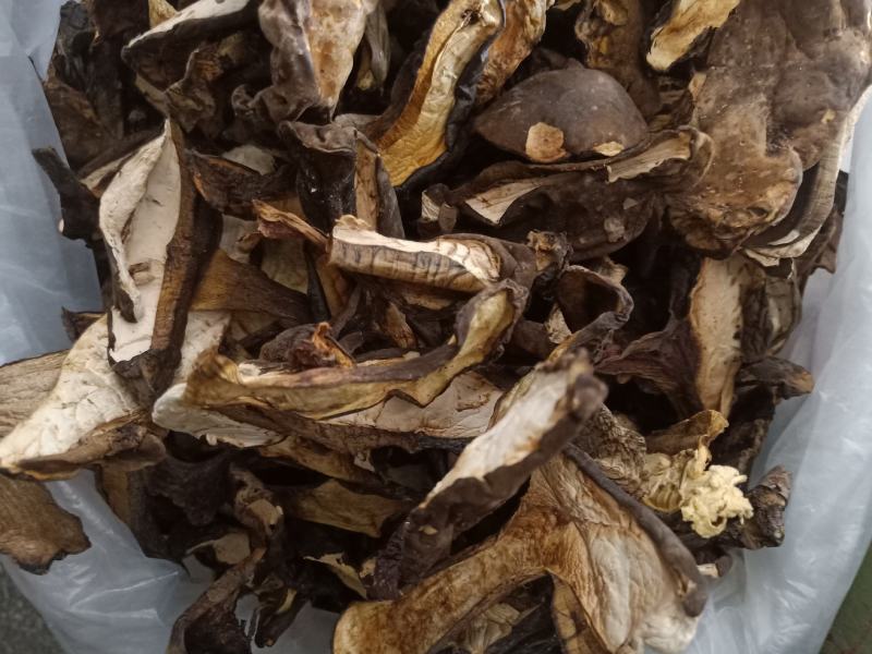 云南普洱黑牛肝菌_干货