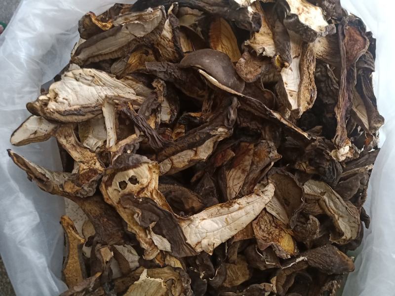 云南普洱黑牛肝菌_干货
