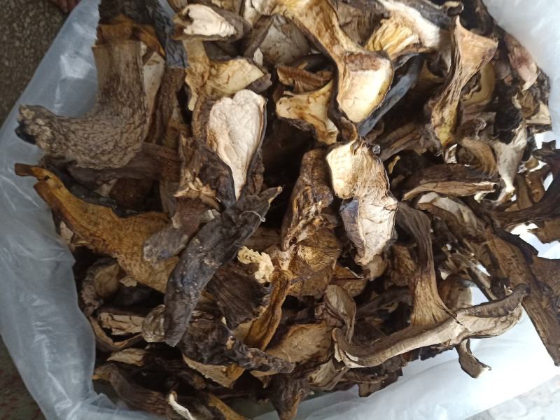 云南普洱黑牛肝菌_干货