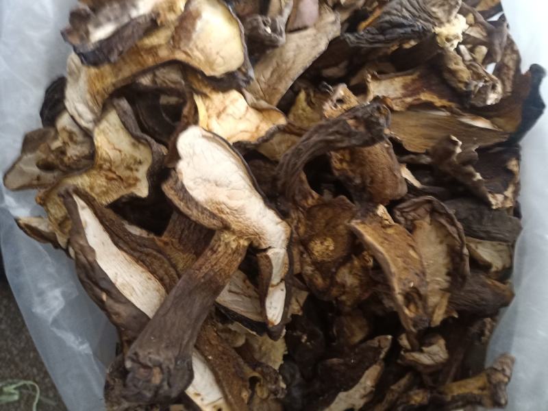 云南普洱黑牛肝菌_干货