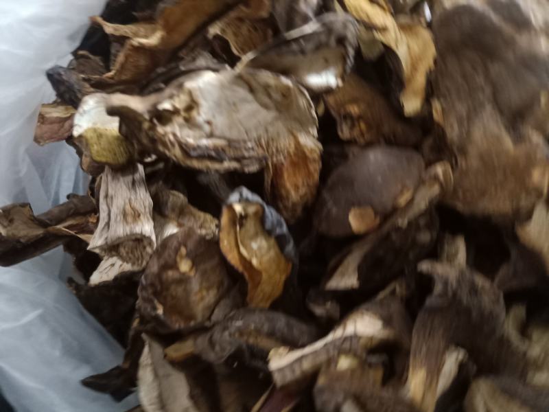云南普洱黑牛肝菌_干货
