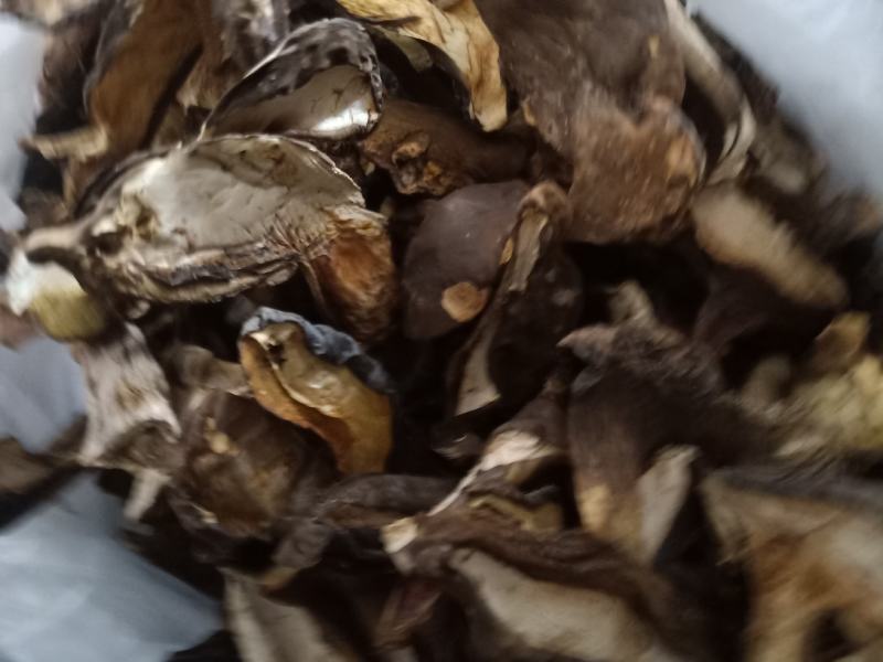 云南普洱黑牛肝菌_干货