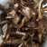 云南普洱黑牛肝菌_干货