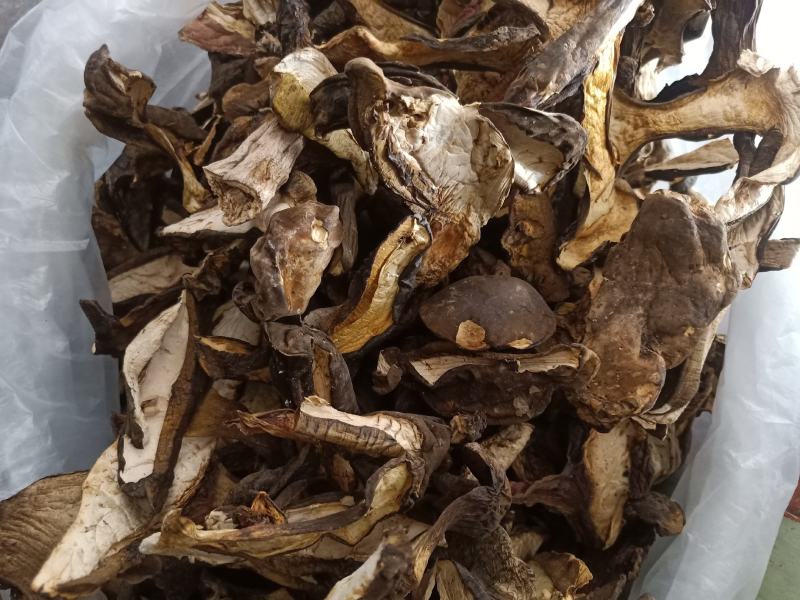 云南普洱黑牛肝菌_干货