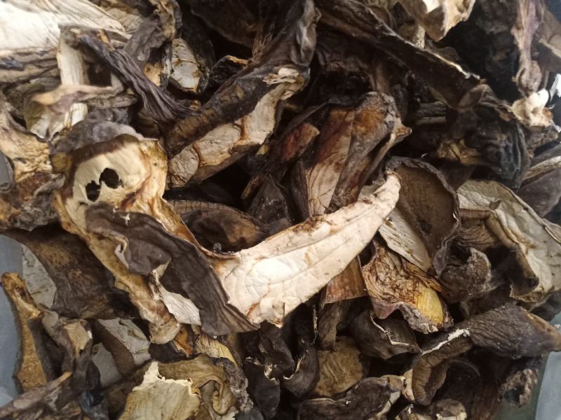 云南普洱黑牛肝菌_干货