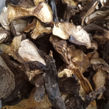 云南普洱黑牛肝菌_干货