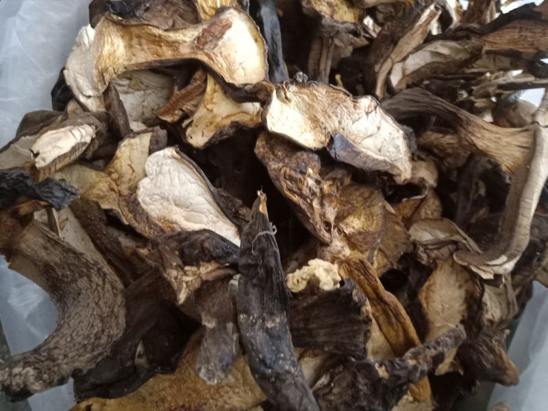 云南普洱黑牛肝菌_干货