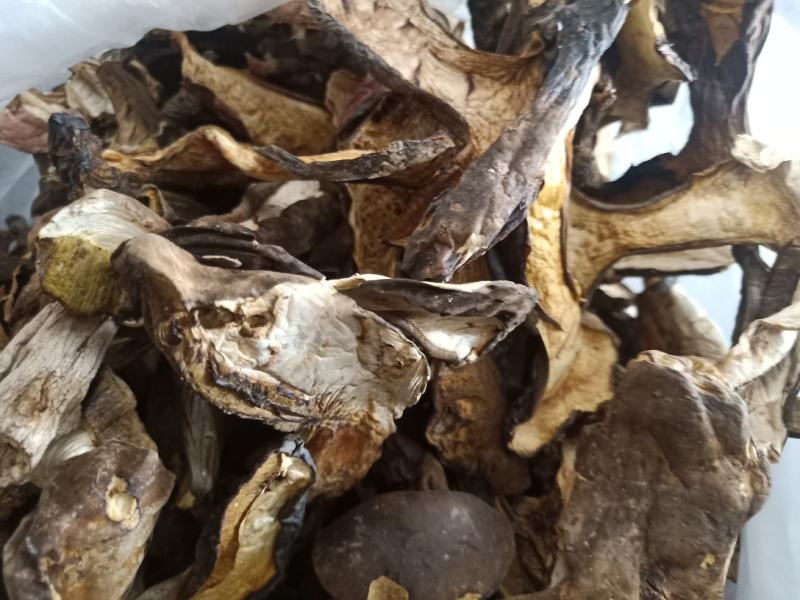 云南普洱黑牛肝菌_干货