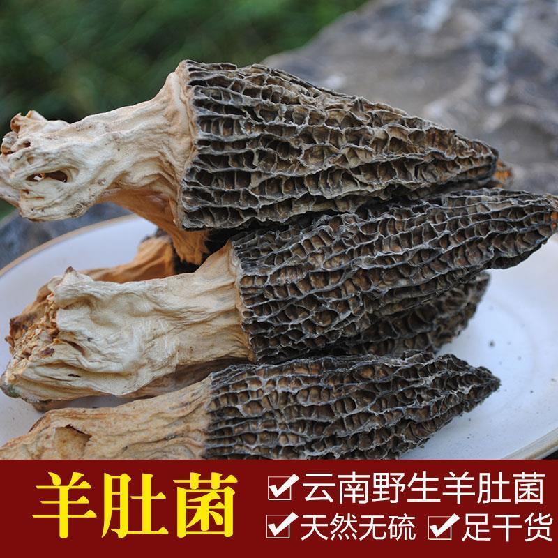 羊肚菌干货野生云南特级野生菌新鲜羊肚菇羊蘑菇