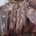 多肉牛肋排，一手货源，大量批发