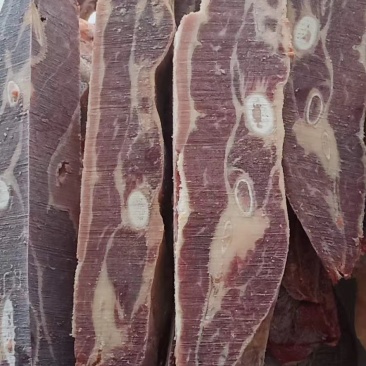多肉牛肋排，一手货源，大量批发