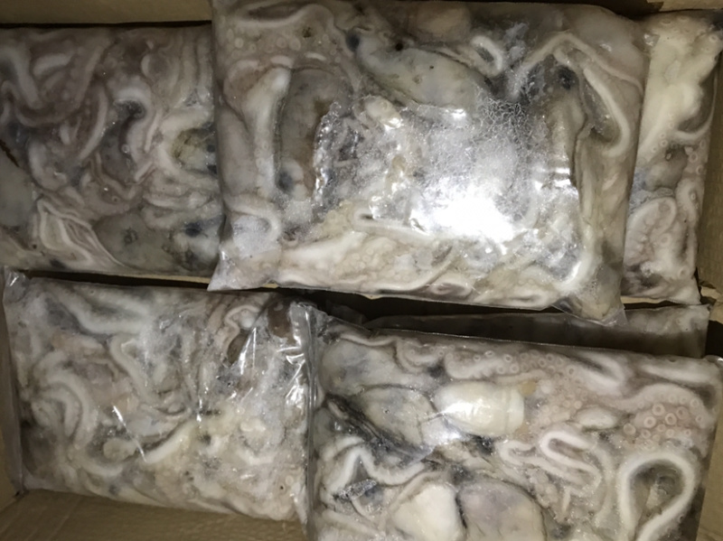 迷你八爪鱼速冻长腿迷你八爪鱼冻板八爪鱼鲜活速冻八爪鱼