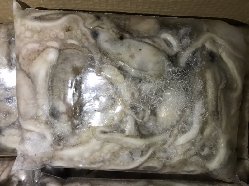 迷你八爪鱼速冻长腿迷你八爪鱼冻板八爪鱼鲜活速冻八爪鱼