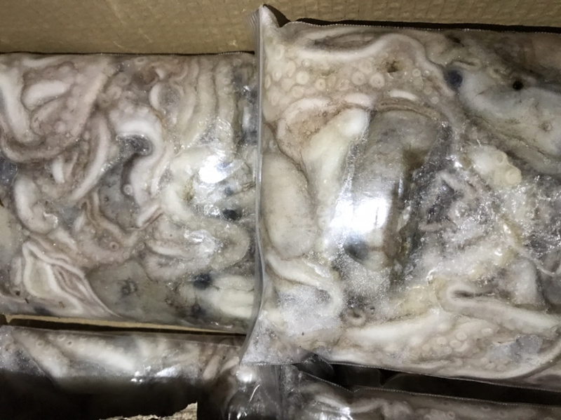 迷你八爪鱼速冻长腿迷你八爪鱼冻板八爪鱼鲜活速冻八爪鱼