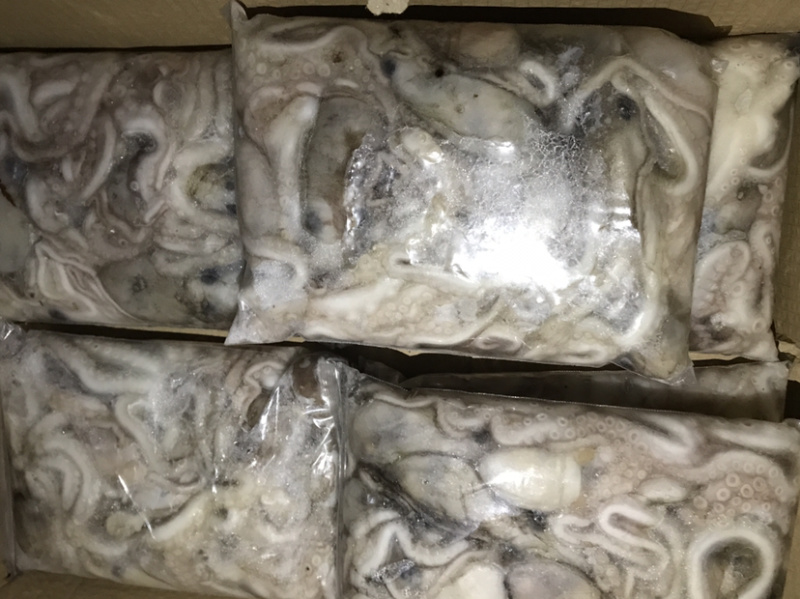 迷你八爪鱼速冻长腿迷你八爪鱼冻板八爪鱼鲜活速冻八爪鱼