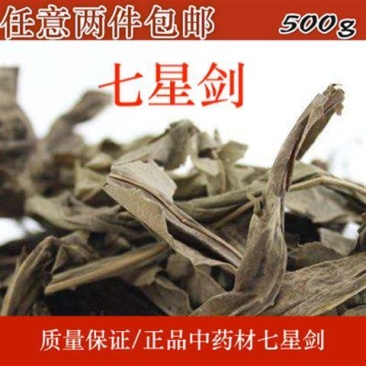 野生七星剑假芥兰星色草酒瓶草痱子草小叶不红