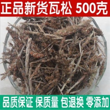 中药材正品瓦松野生包邮500克瓦松草瓦花向天草