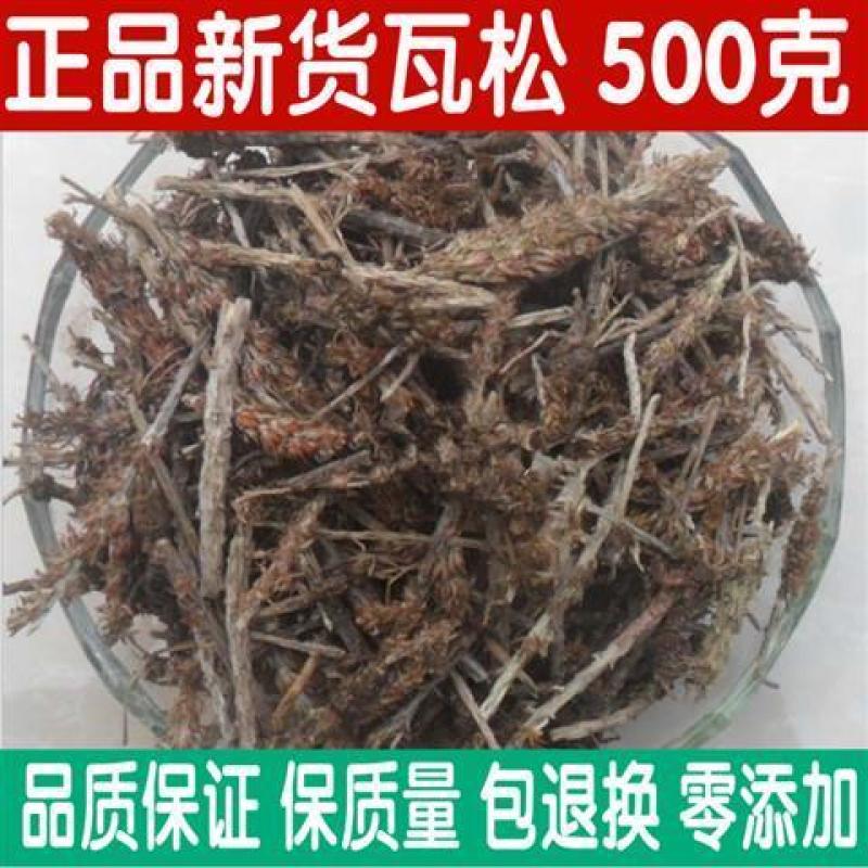 中药材正品瓦松野生包邮500克瓦松草瓦花向天草