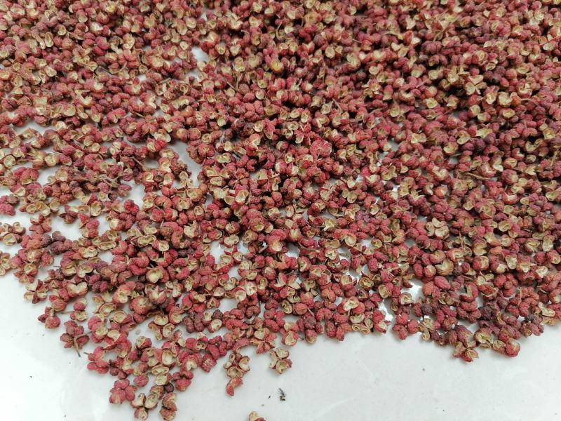 大红袍花椒(包邮图片实拍)特香，特麻，特净，颜色正