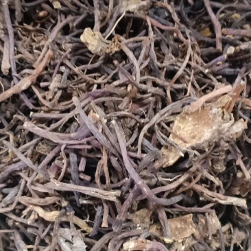 紫菀，中药材紫苑片干净无杂质量保证！欢迎咨询选购！