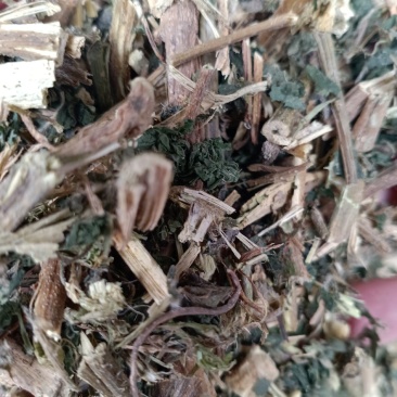 荨麻，荨麻切片干净无杂质量保证！