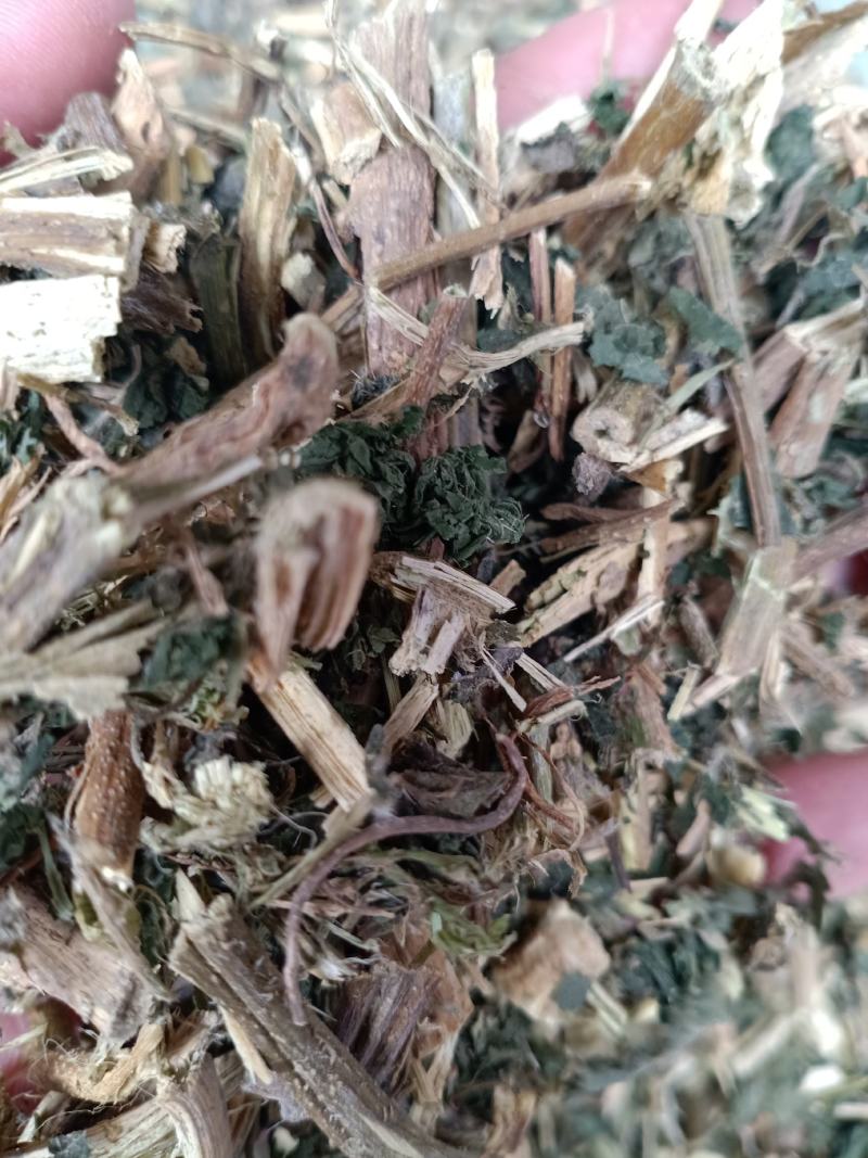 荨麻，荨麻切片干净无杂质量保证！