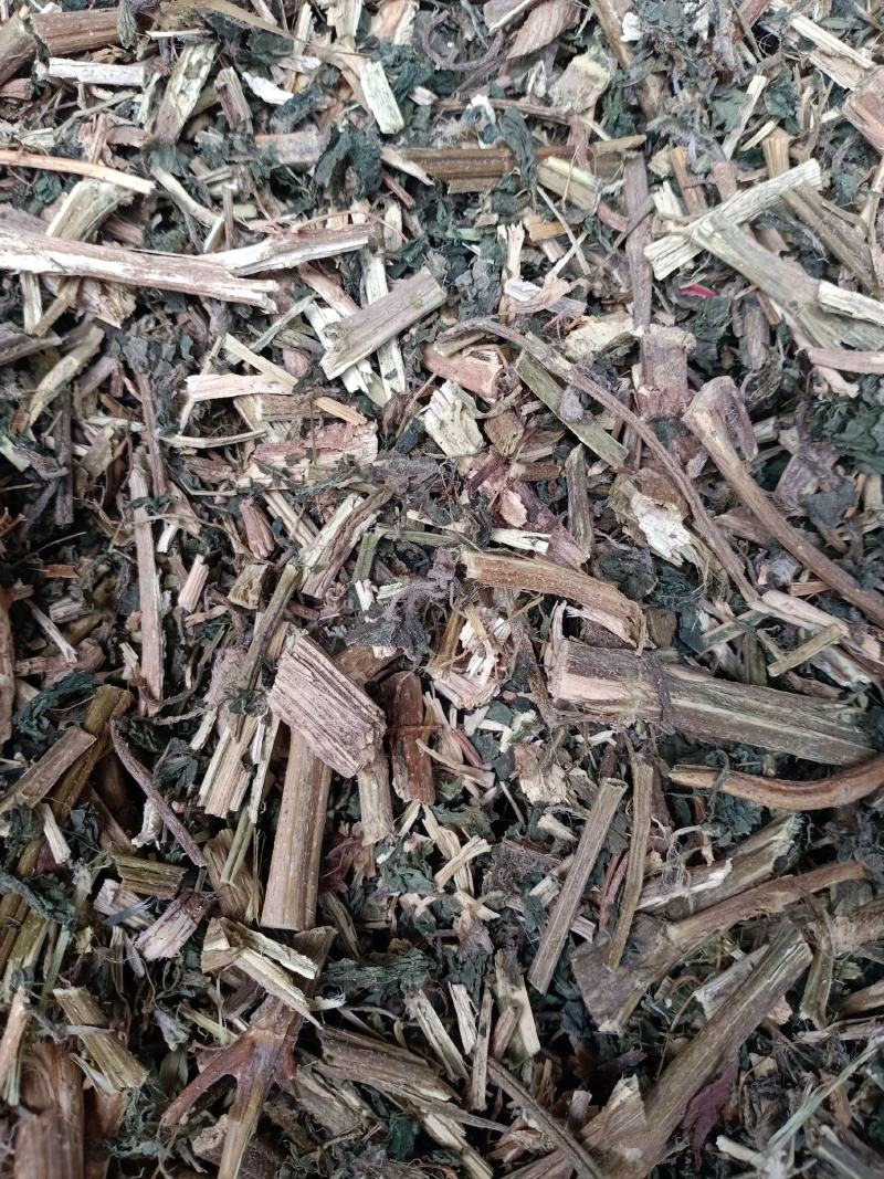 荨麻，荨麻切片干净无杂质量保证！