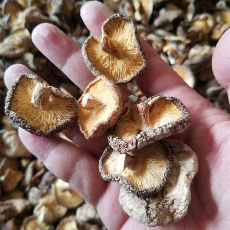 香菇干菇包邮包售后一件代发！！！