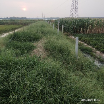 龙虾养殖场价格面议底价转让