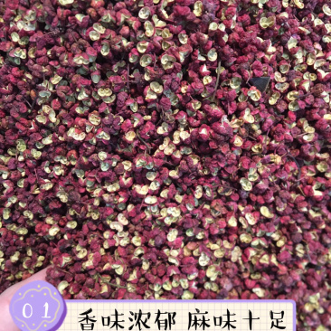 【精品】茂汶花椒大红袍花椒产地直销火锅专用