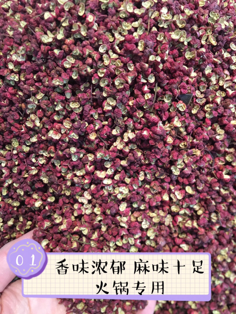 【精品】茂汶花椒大红袍花椒产地直销火锅专用