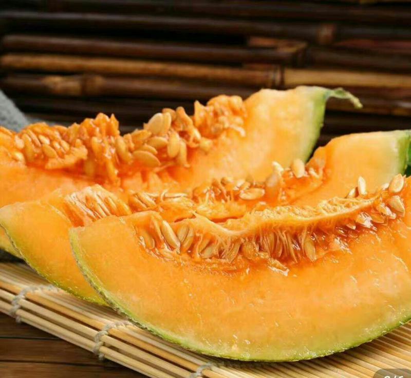 山东西周密，网纹，羊角蜜，绿宝，翠梨，小蜜25久红瑞