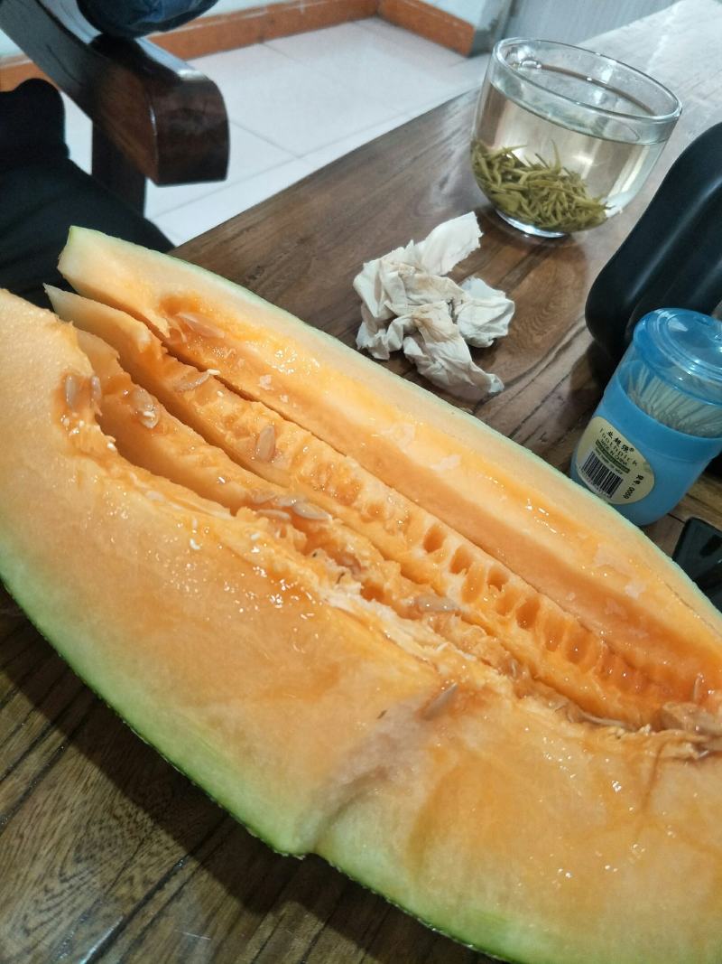 山东西周密，网纹，羊角蜜，绿宝，翠梨，小蜜25久红瑞