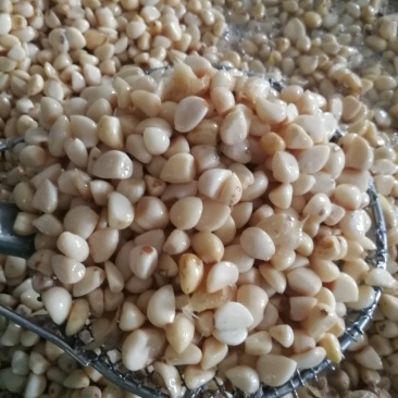 蒜米，价格便宜适合做蒜蓉，蒜蓉蒜米，咸蒜米，
