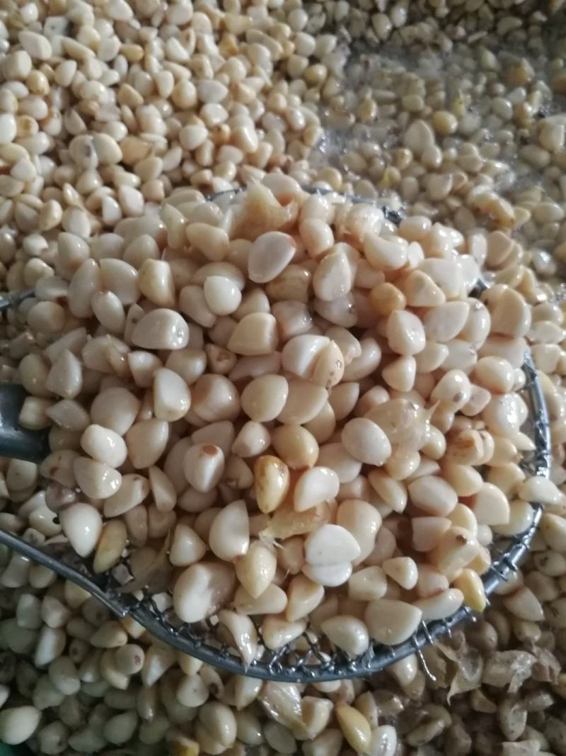 蒜米，价格便宜适合做蒜蓉，蒜蓉蒜米，咸蒜米，