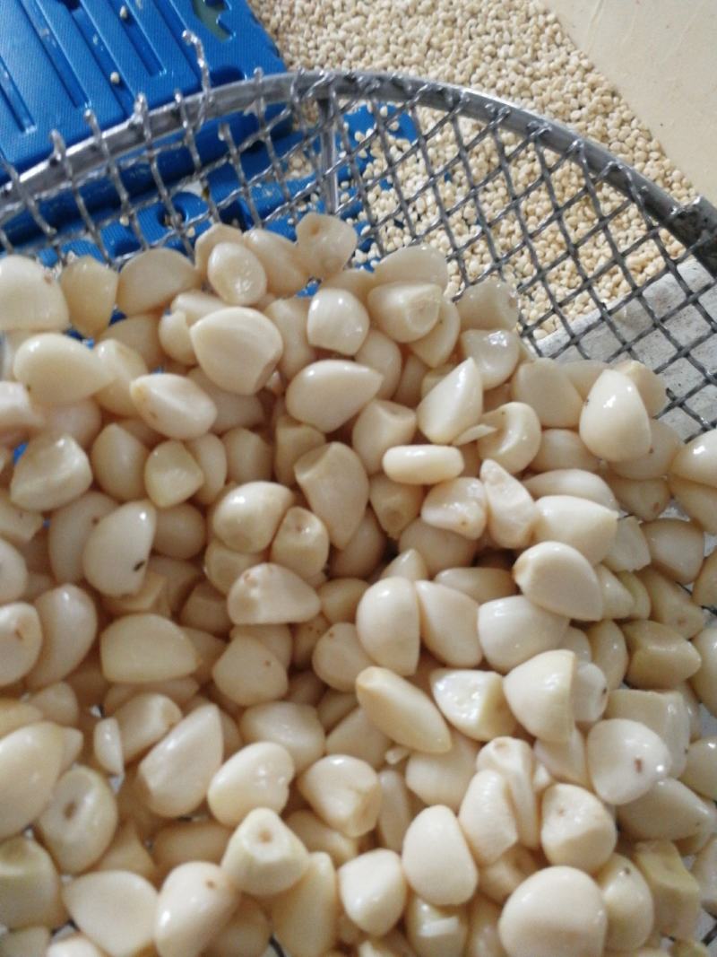 蒜米，价格便宜适合做蒜蓉，蒜蓉蒜米，咸蒜米，