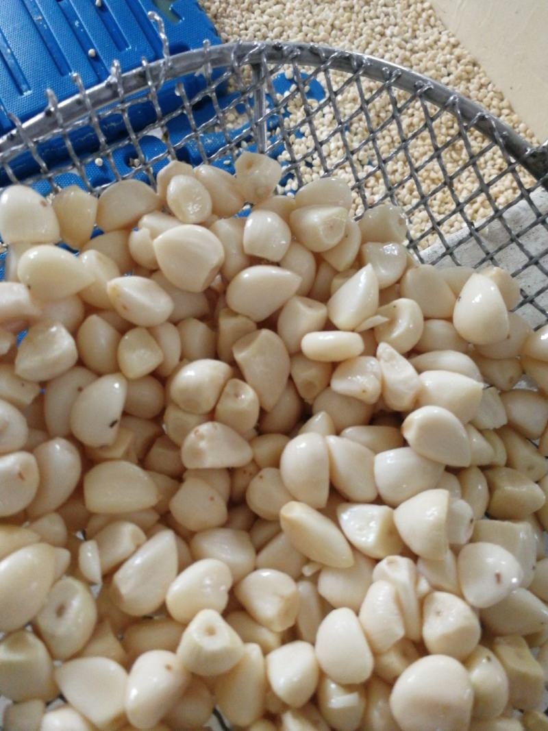 蒜米，价格便宜适合做蒜蓉，蒜蓉蒜米，咸蒜米，