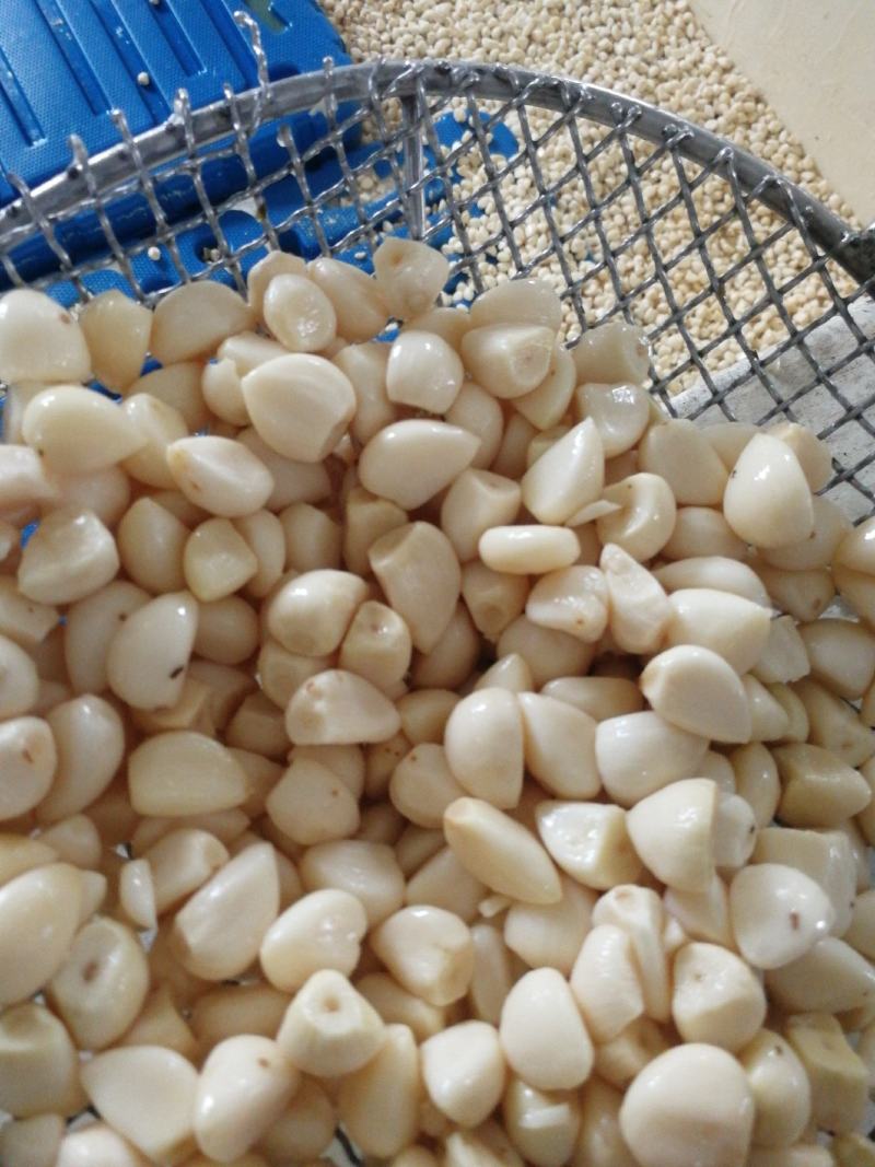 蒜米，价格便宜适合做蒜蓉，蒜蓉蒜米，咸蒜米，