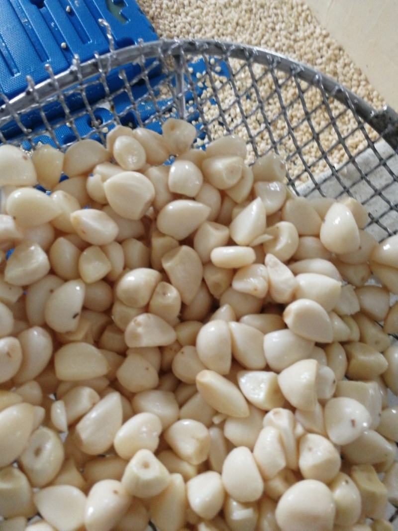 蒜米，价格便宜适合做蒜蓉，蒜蓉蒜米，咸蒜米，