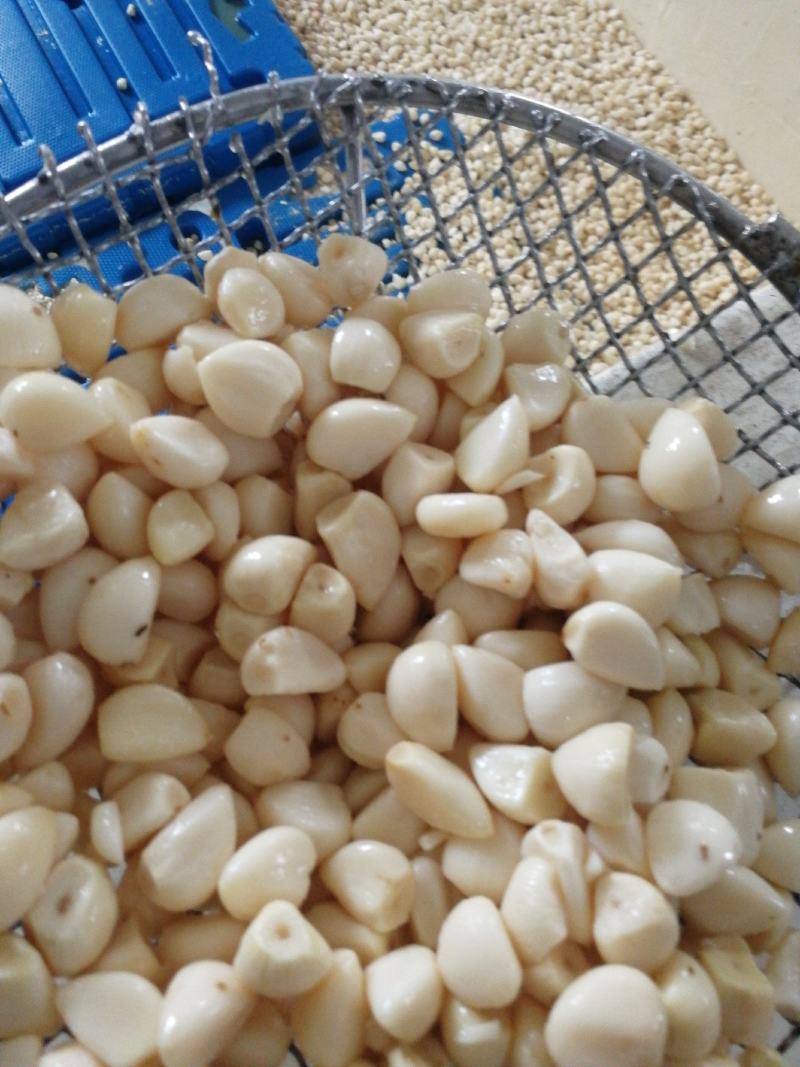 蒜米，价格便宜适合做蒜蓉，蒜蓉蒜米，咸蒜米，