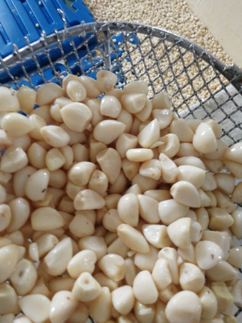 蒜米，价格便宜适合做蒜蓉，蒜蓉蒜米，咸蒜米，