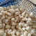 蒜米，价格便宜适合做蒜蓉，蒜蓉蒜米，咸蒜米，