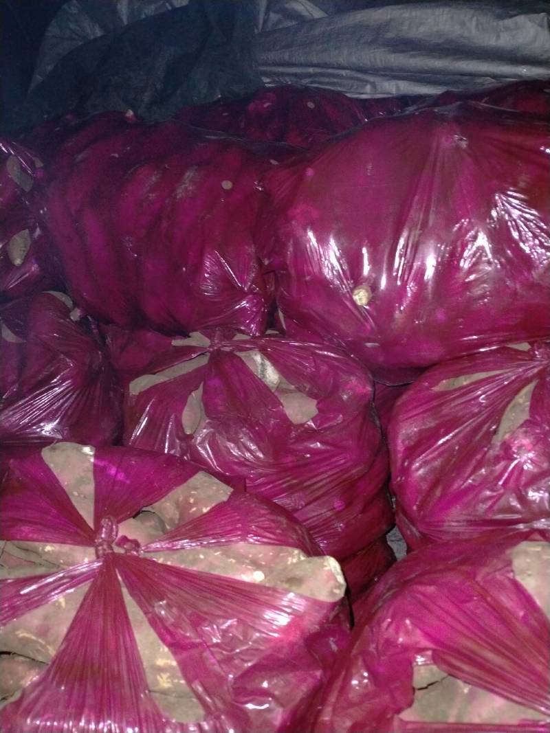 商十九红薯大量上市欢迎下单