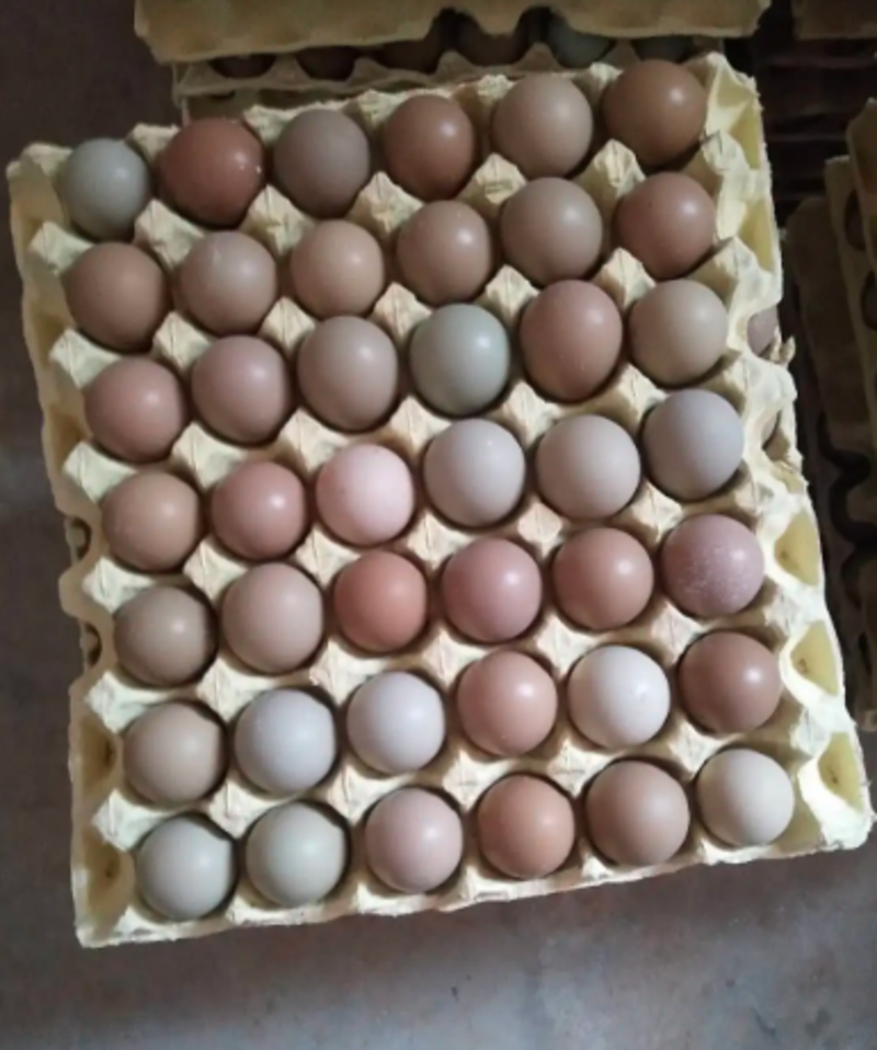 野鸡蛋食用50g以下自家养殖场常年供货破损包赔