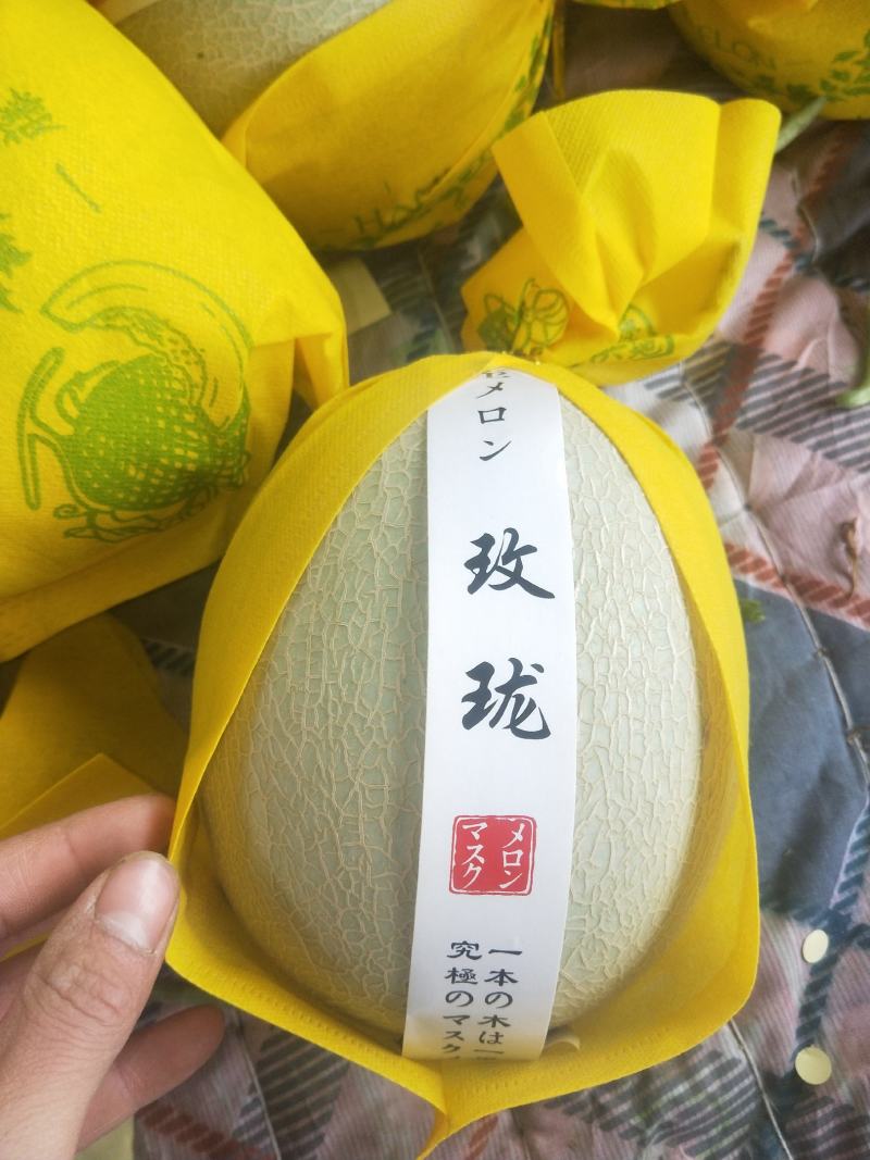 鲁厚甜甜瓜/香甜可口/纹路好/个头匀/超市**/产地直发
