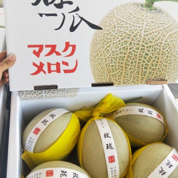 鲁厚甜甜瓜/香甜可口/纹路好/个头匀/超市**/产地直发