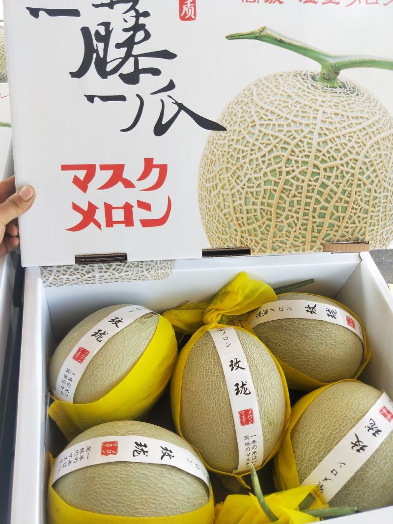 鲁厚甜甜瓜/香甜可口/纹路好/个头匀/超市**/产地直发