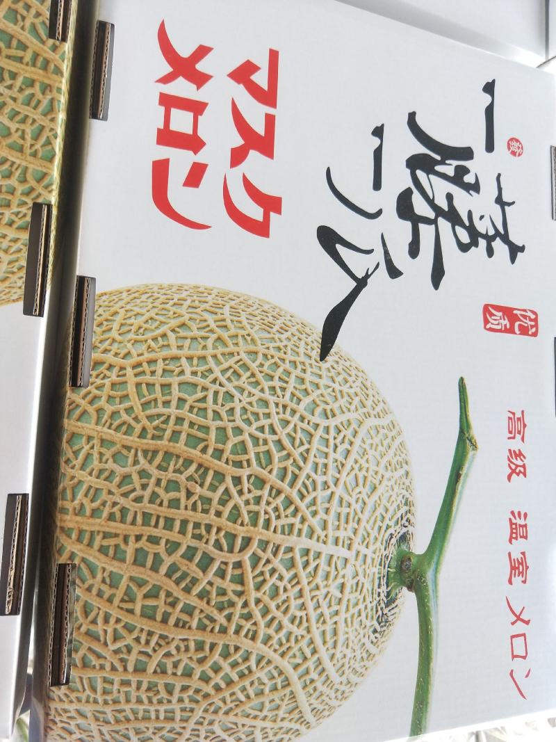 鲁厚甜甜瓜/香甜可口/纹路好/个头匀/超市**/产地直发